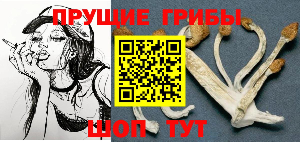сколько стоит  Псилоцибиновые грибы Magic Shrooms  Вход с VPN  Саров 