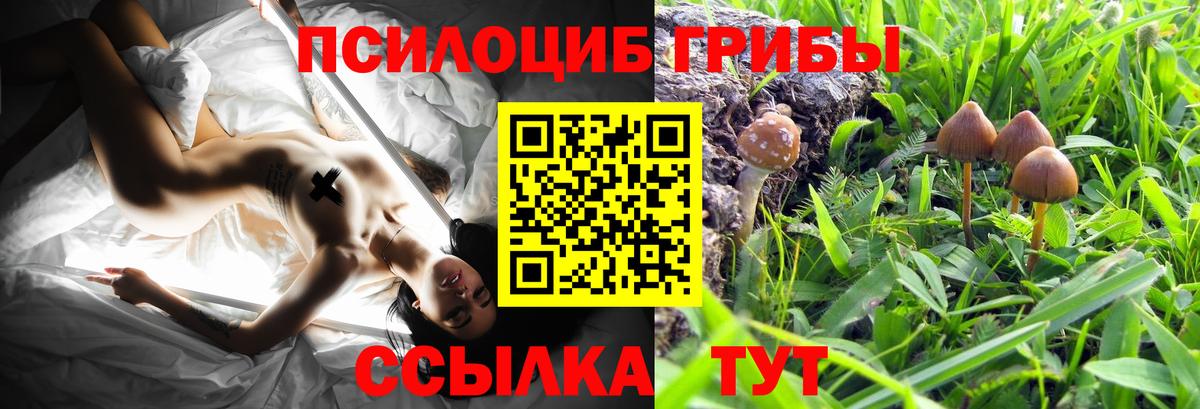 Псилоцибиновые грибы GOLDEN TEACHER Саров